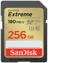Sandisk SDSDXVV-256G-GNCIN