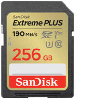 Sandisk SDSDXWV-256G-GNCIN
