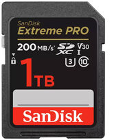 Sandisk SDSDXXD-1T00-GN4IN