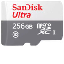 Sandisk SDSQUNR-256G-GN3MN