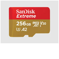 Sandisk SDSQXAV-256G-GN6MA