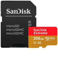 Sandisk SDSQXBD-256G-GN6MA