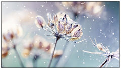 Samsung LH46VMRUBGBXEN