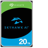 Seagate ST24000VE002