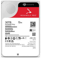 Seagate ST30000NT011