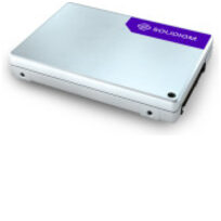 Solidigm SBFPF2BV307T001