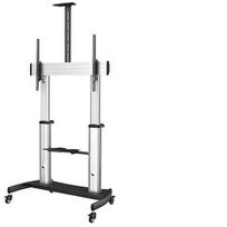 StarTech.com STNDMTV100