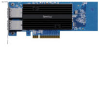 Synology E10G30-T2
