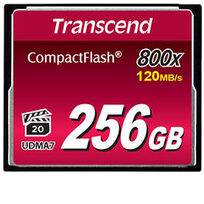 Transcend TS256GCF800