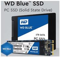Western Digital WDS100T1B0A